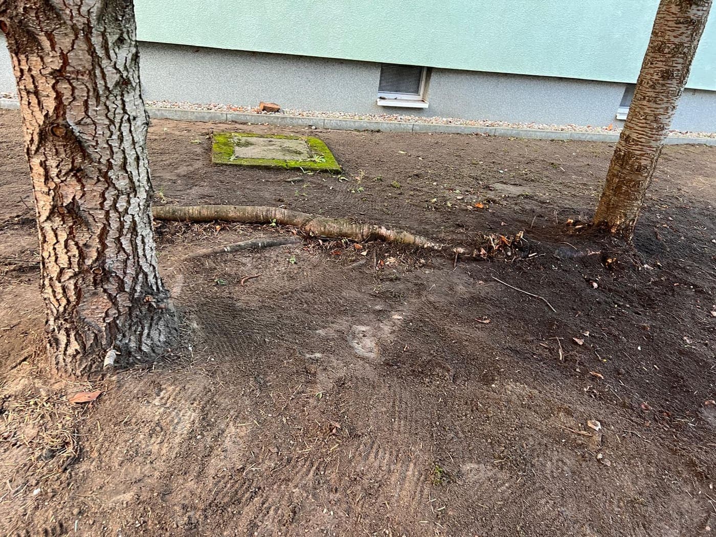 Frisch bearbeiteter Erdstreifen zwischen zwei Baumstämmen an einer Hausfassade während der Grundstückspflege