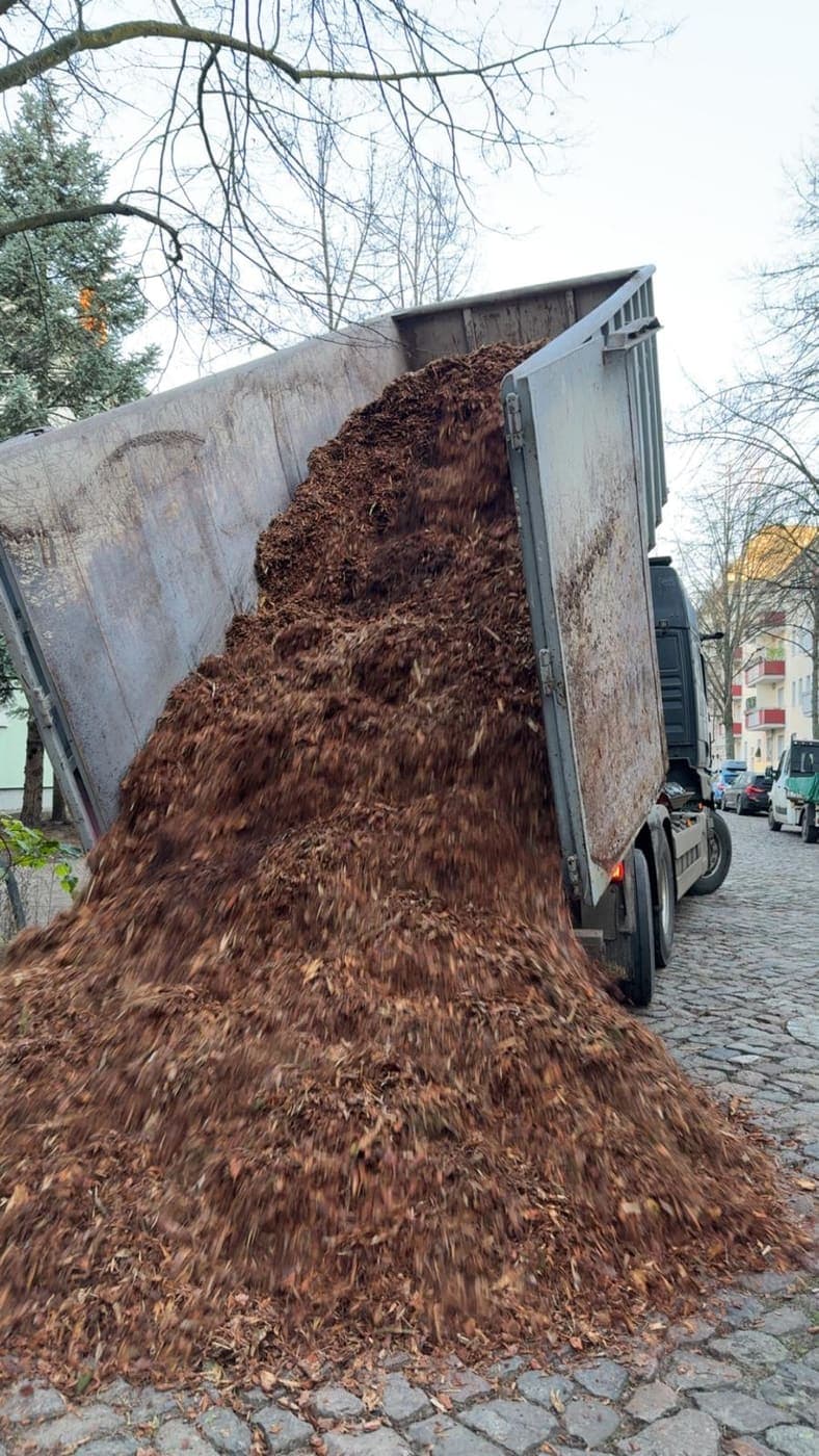 Kipplaster entlädt eine große Fuhre Rindenmulch auf einer Berliner Kopfsteinpflasterstraße