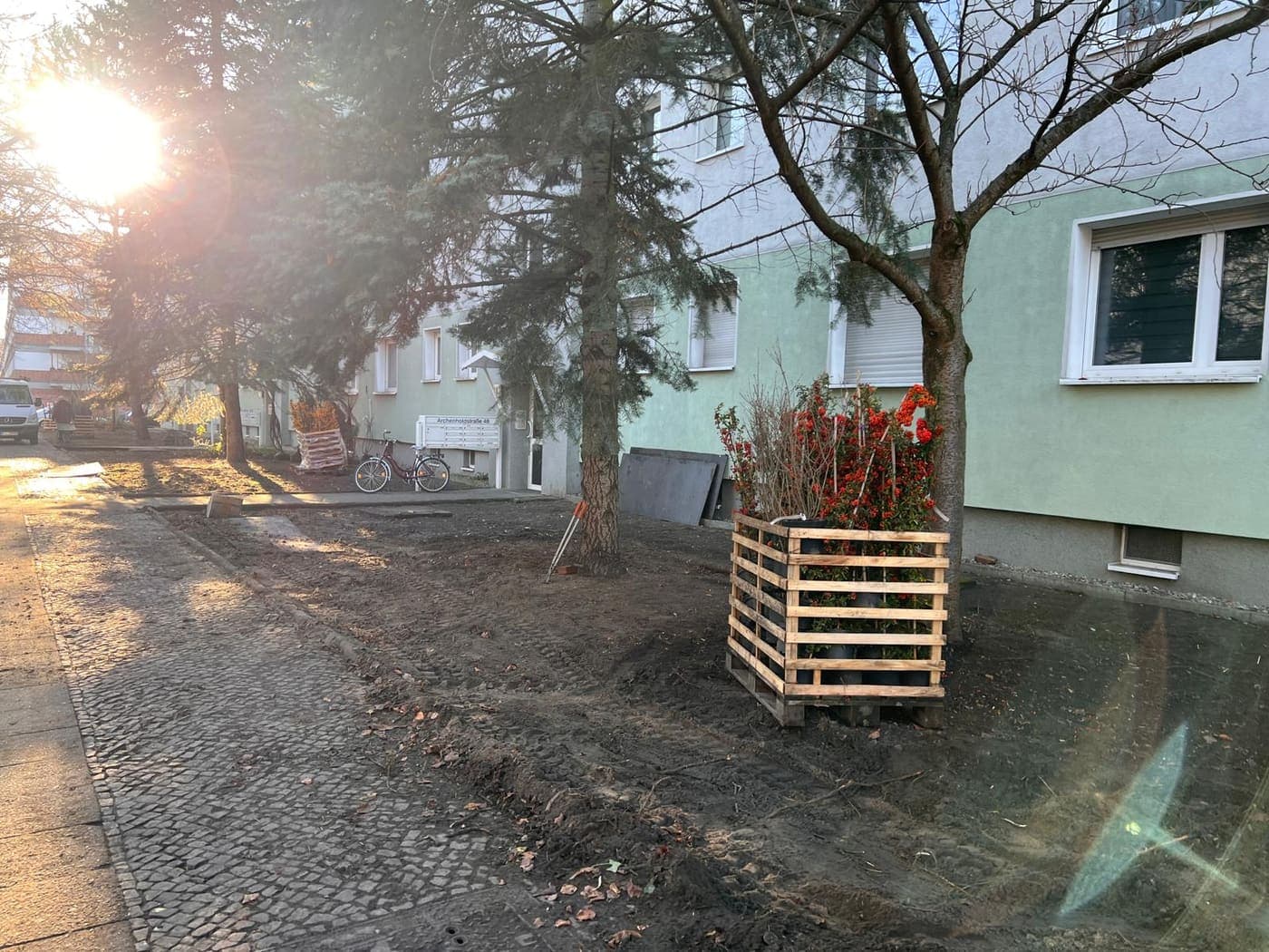 Neu bepflanzter Vorgarten mit Feuerdorn im Holzpaletten-Verschlag um einen Baum, Arbeiten im Hintergrund