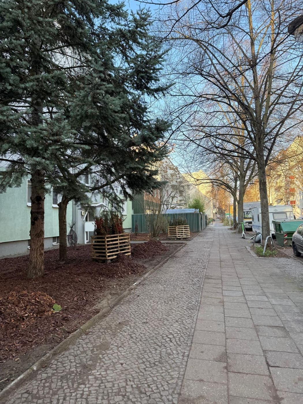 Gepflasterter Gehweg mit gemulchtem Beet und Feuerdorn im Holzverschlag entlang eines Wohnhauses