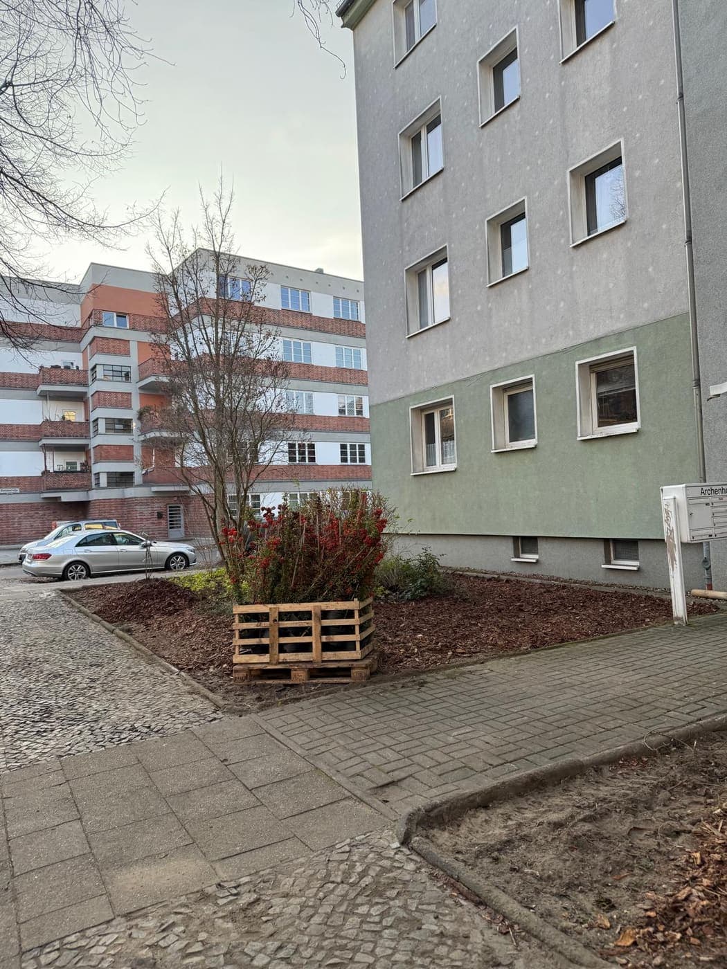 Neu gesetzter Feuerdorn mit roten Beeren im Holzverschlag an einer Hausecke, dahinter parkende Autos