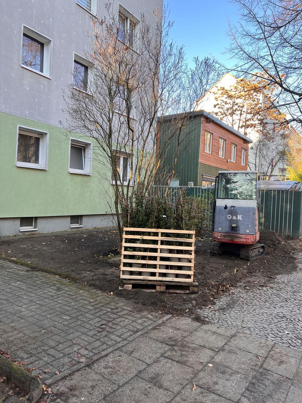Minibagger neben einem Palettenverschlag mit eingetopften Sträuchern während der Beetanlage in Berlin