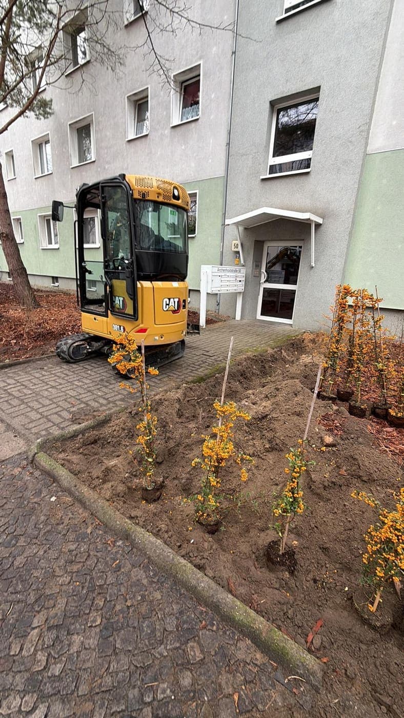 Gelber Minibagger neben frisch gepflanzten Feuerdorn-Sträuchern vor dem Hauseingang Archenholdstraße 50