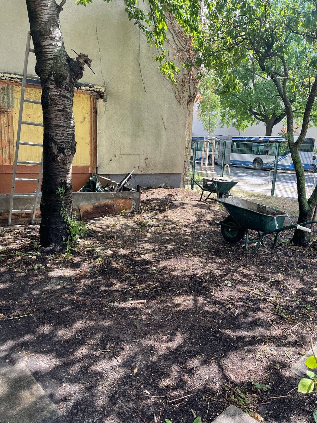 Freigeräumte, vorbereitete Erdfläche unter Bäumen an einer Hauswand mit zwei Schubkarren im Sommer